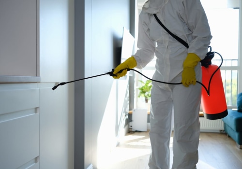 The Importance Of Professional Mold Remediation For Residential Kitchen Cabinets In Philadelphia